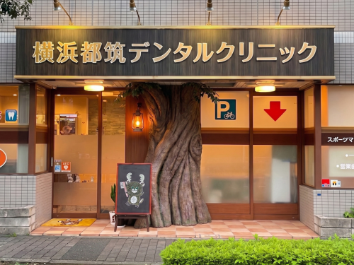 横浜都筑デンタルクリニック エントランスの大きな木のオブジェ